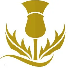 Thegildedthistle