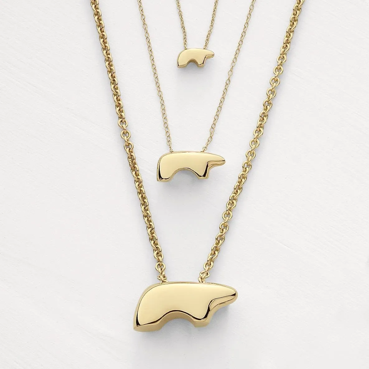 Thegoldenbear