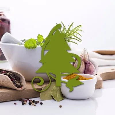 Theherbforest