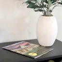 TheHomeMag logo