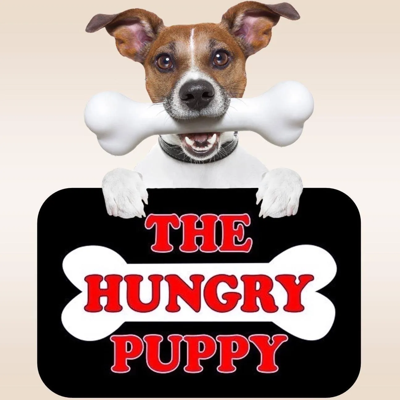 The Hungry Puppy