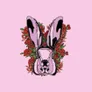 Logo JackRabbit