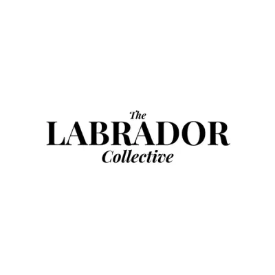 Thelabradorcollective