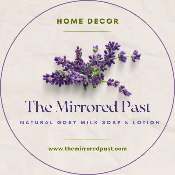 Themirroredpast