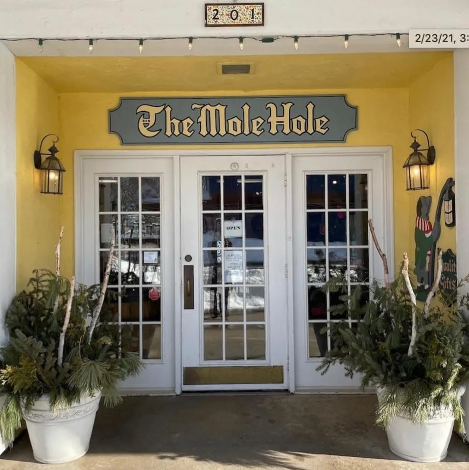 Themoleholeonline