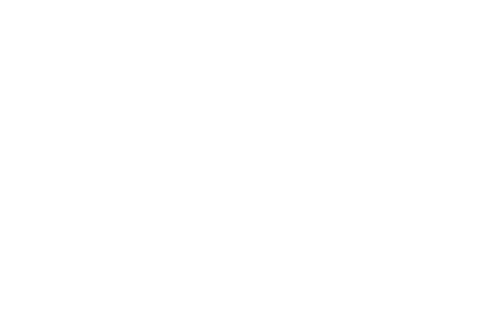 The North Face light logo