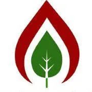The Pinnacle School logo