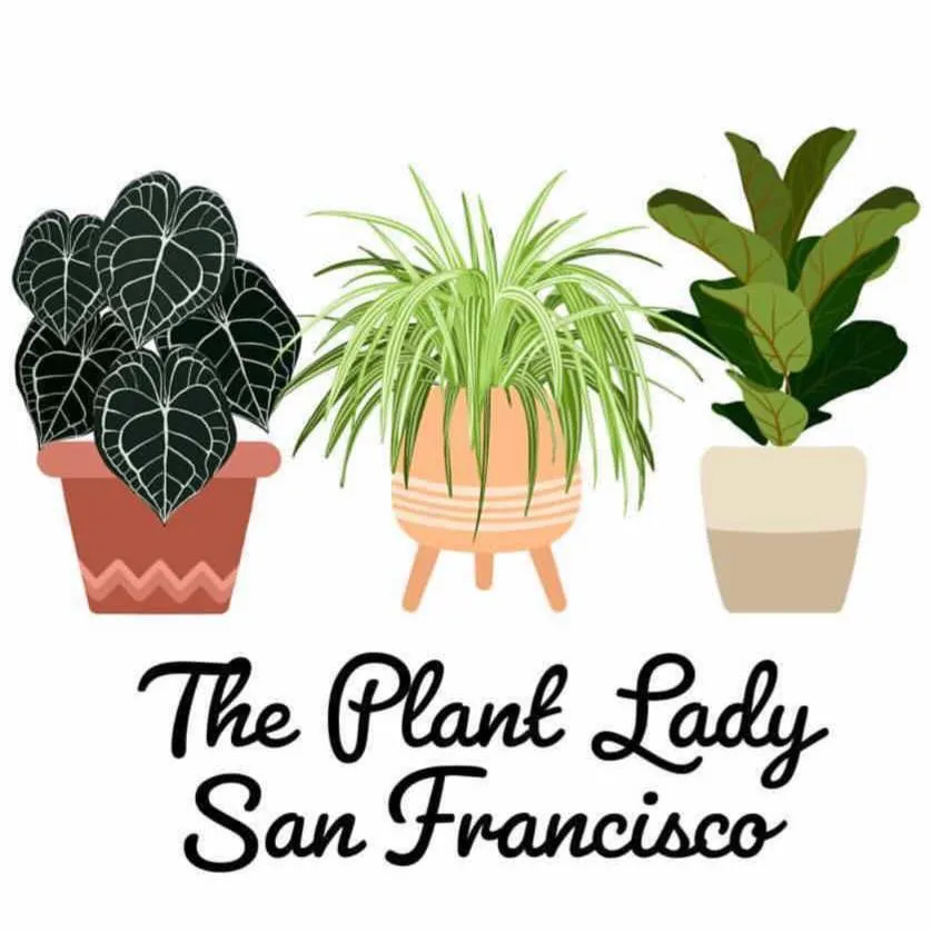 Theplantladysf