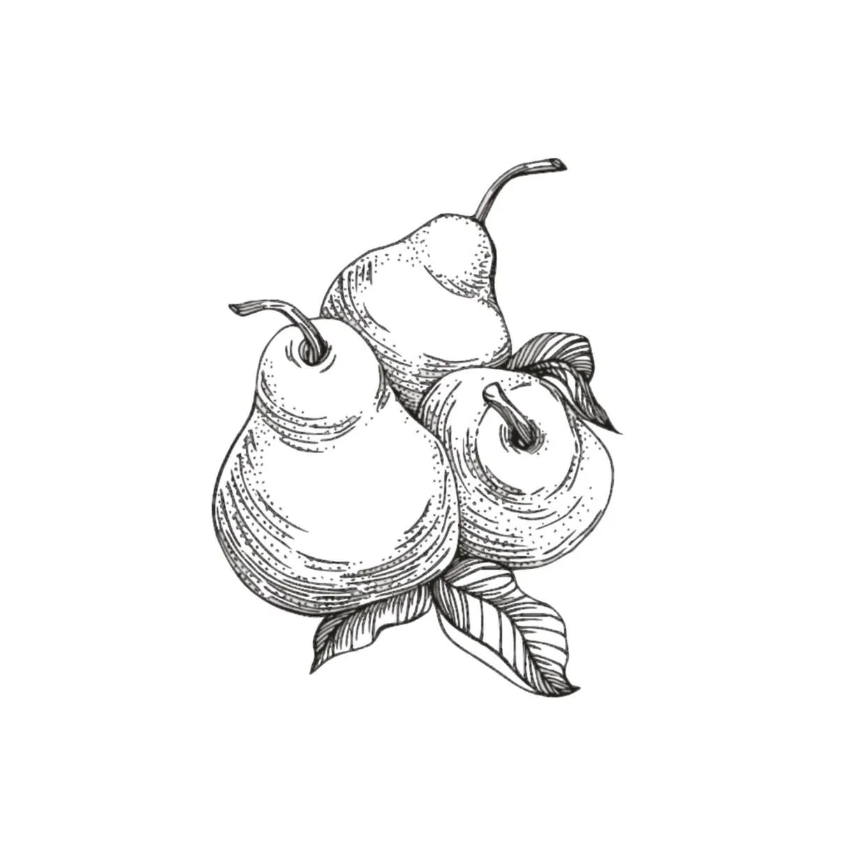The Prickly Pear