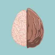 Therapy in a Nutshell Logo