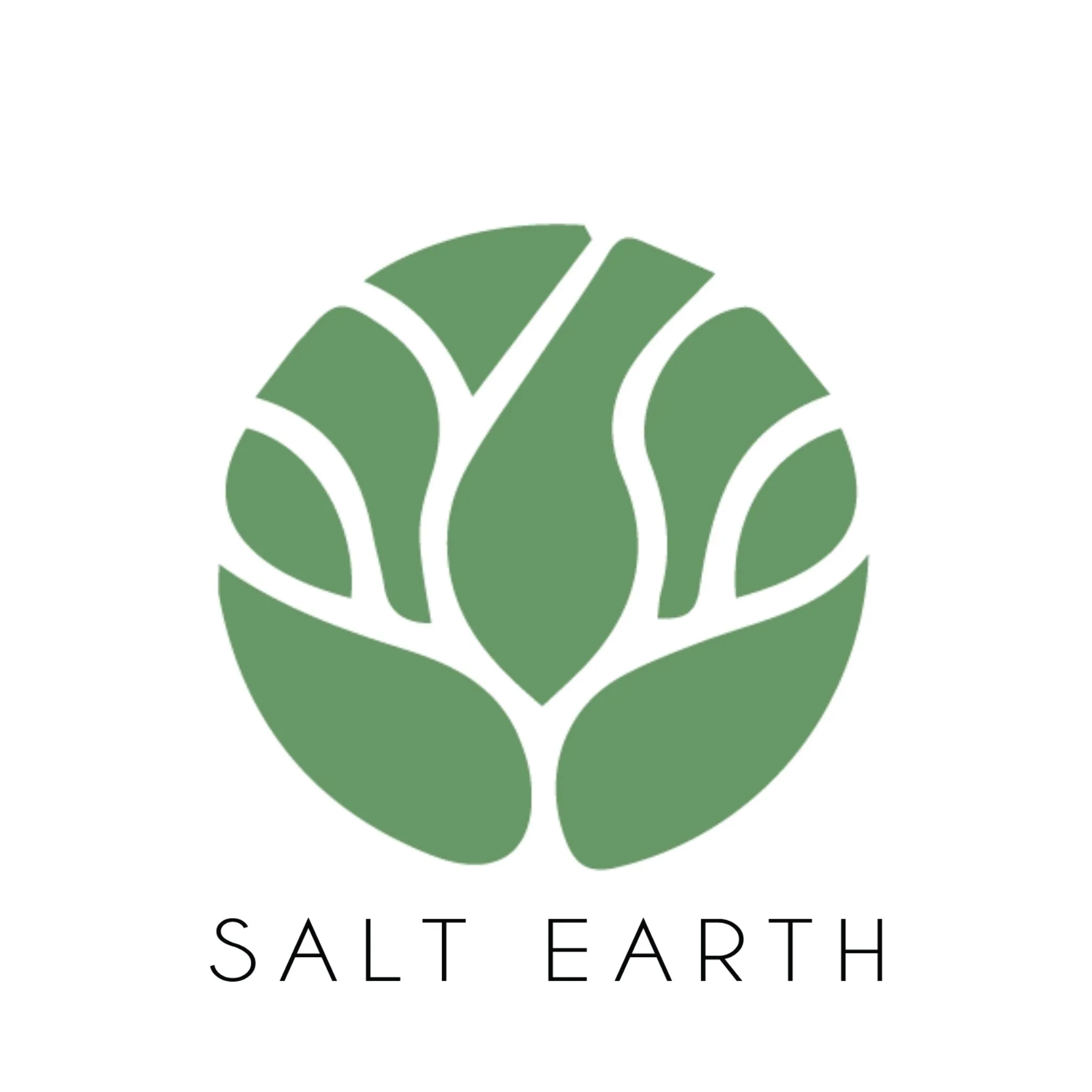 Thesaltearth