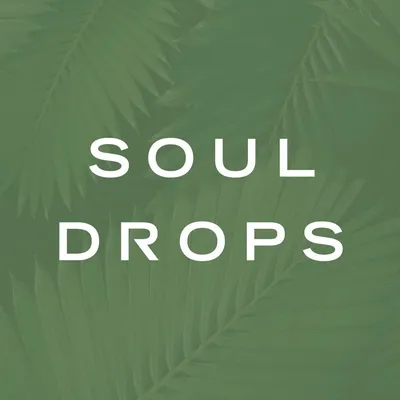 thesouldrops.com logo