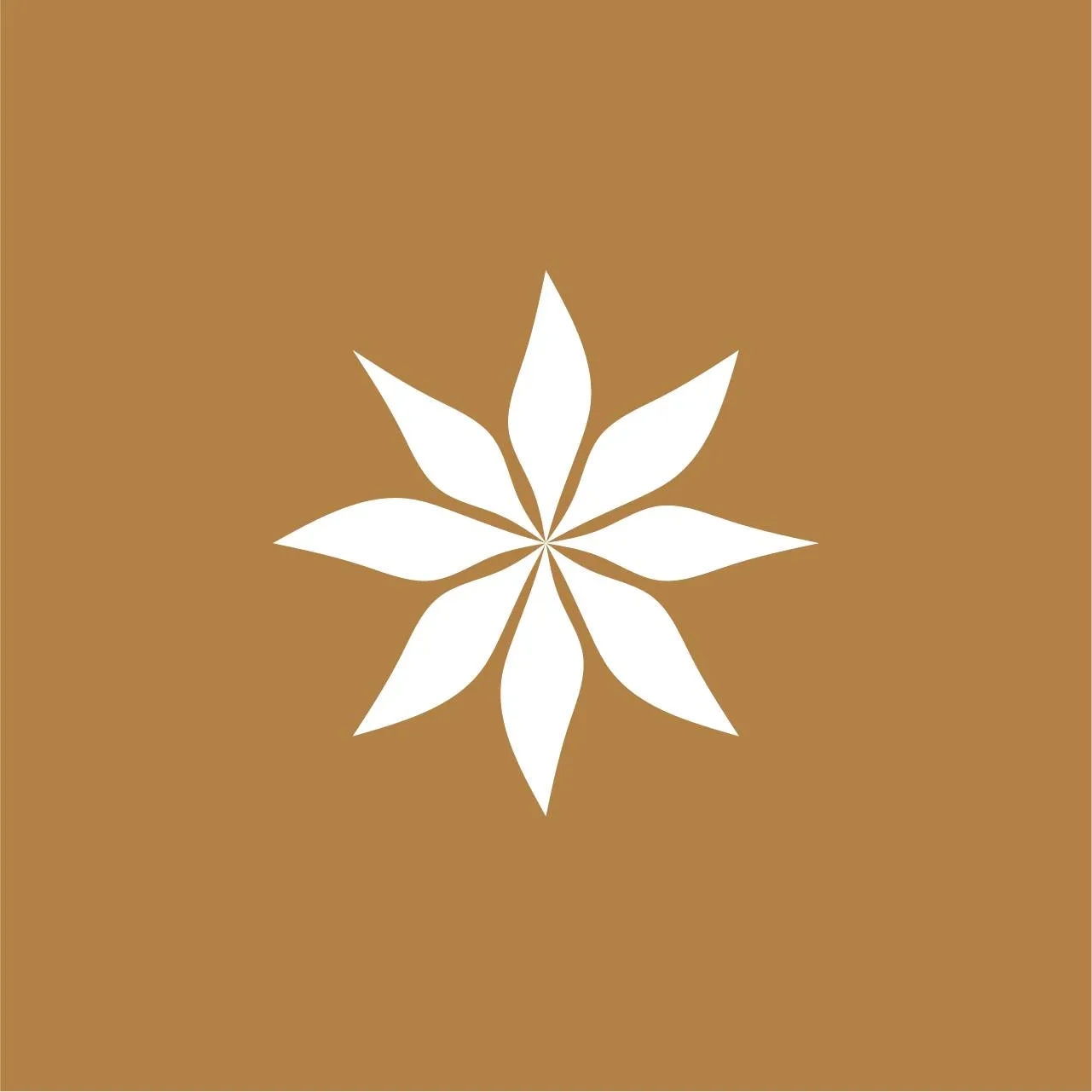 the spice bazaar logo