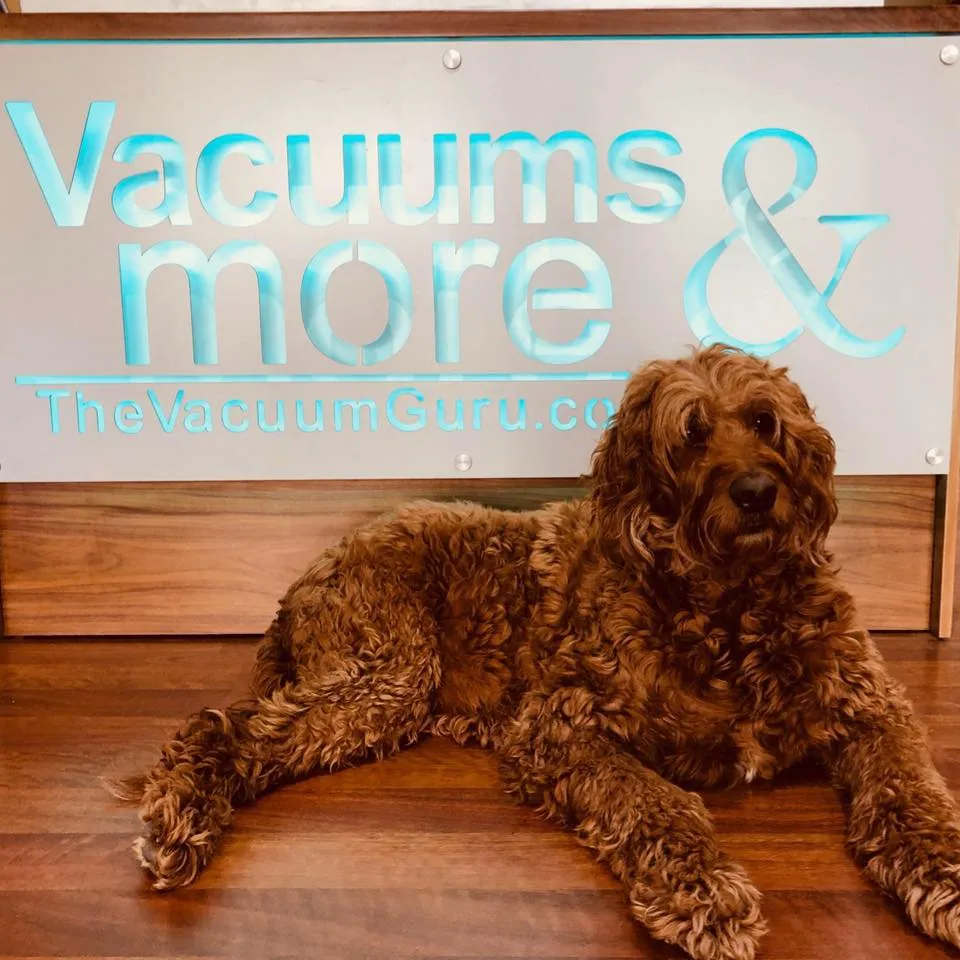 The Vacuum Guru