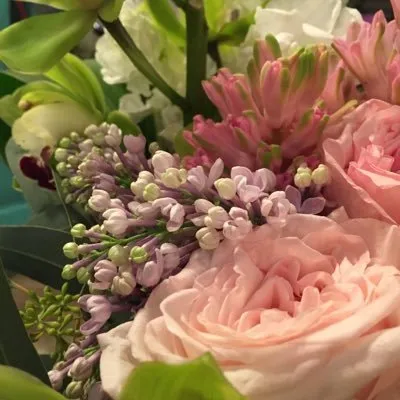 Thewhiteorchidflorist