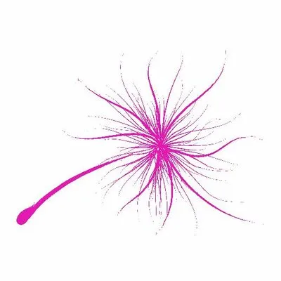 The Windflower Resorts Spa