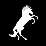 The Wire Horse