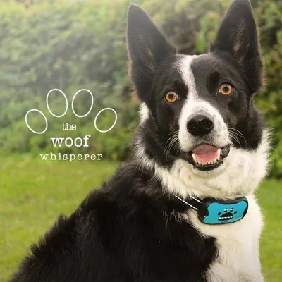 The Woof Whisperer logo