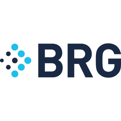 Berkeley Research Group, LLC logo