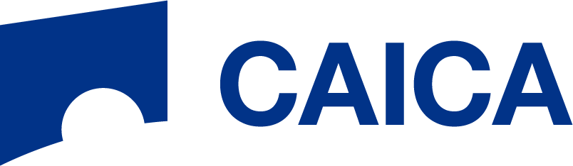 CAICA DIGITAL Inc. logo
