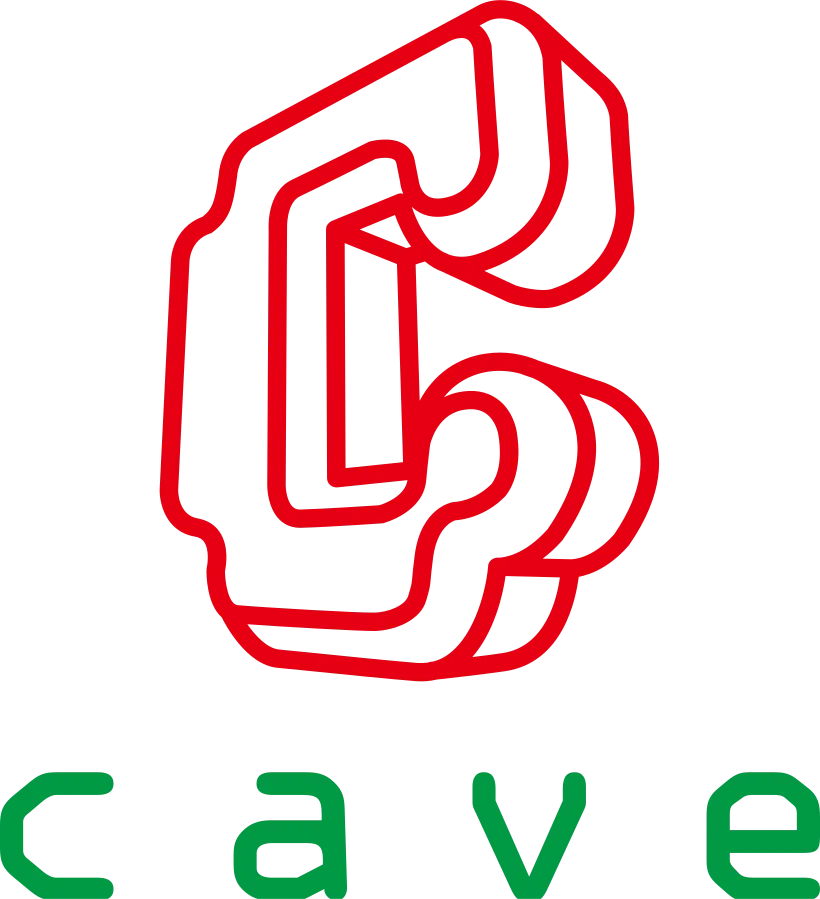 CAVE Interactive CO.,LTD. logo