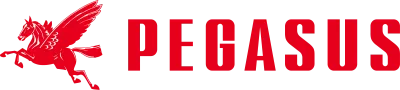 PEGASUS CO.,LTD. logo