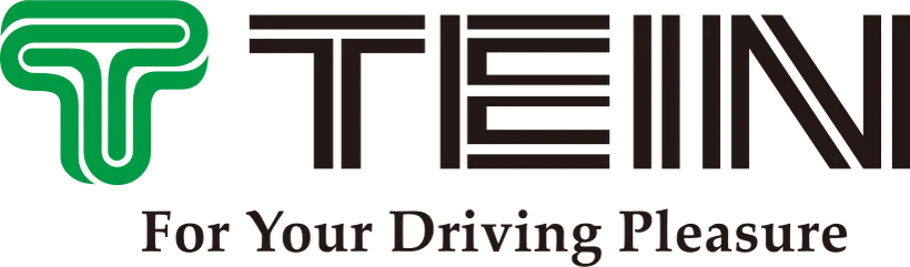 TEIN,INC. logo