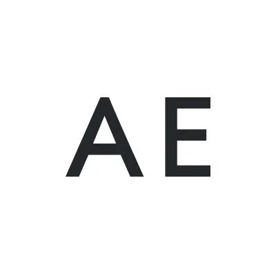 American Eagle Outfitters, Inc logo