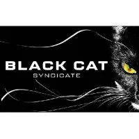 BLACK CAT SYNDICATE LIMITED logo