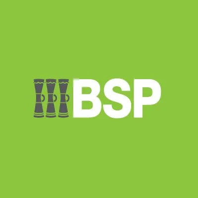 BSP FINANCIAL GROUP LIMITED logo