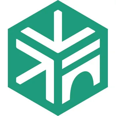 BRIDGE SAAS LIMITED logo