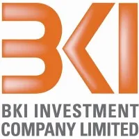 BKI INVESTMENT COMPANY LIMITED logo