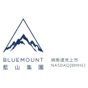 Bluemount Holdings Limited logo
