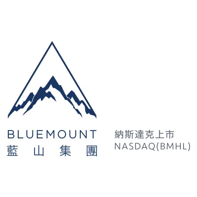 Bluemount Holdings logo