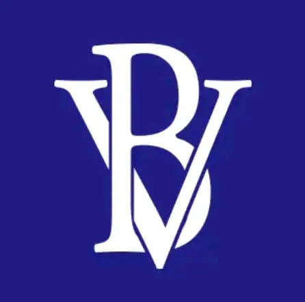 BV Financial, Inc logo