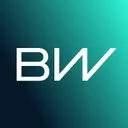 BorgWarner Inc. logo