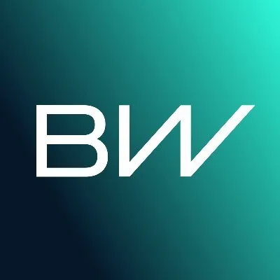 BorgWarner Inc logo