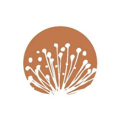 CARAVEL MINERALS LIMITED logo
