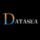 Datasea Intelligent Technology Ltd logo