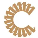 Data Storage Corporation logo