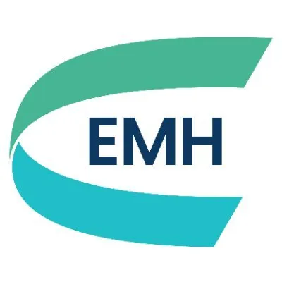 EUROPEAN METALS HOLDINGS LIMITED logo