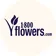 FLWS logo