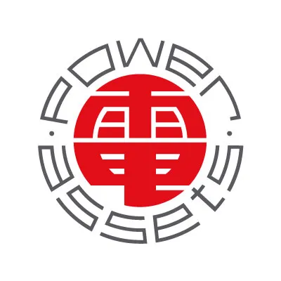 Power Assets Holdings Logo