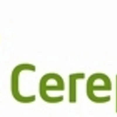 Hong Yuan Holding logo