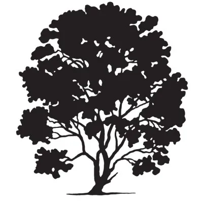HLS Therapeutics Inc Logo