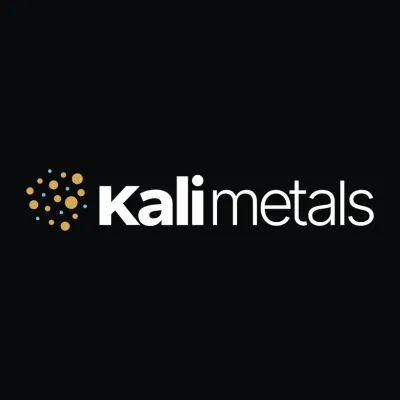KALI METALS LIMITED logo
