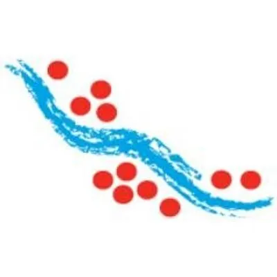 LARAMIDE RESOURCES LTD logo