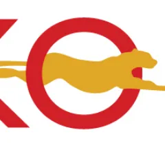 Fenikso Limited logo