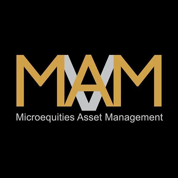MICROEQUITIES ASSET MANAGEMENT GROUP LIMITED logo