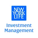NYLI MacKay DefinedTerm Muni Opportunities Fund Common Shares logo